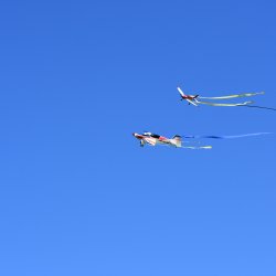 Model Air Show 2017